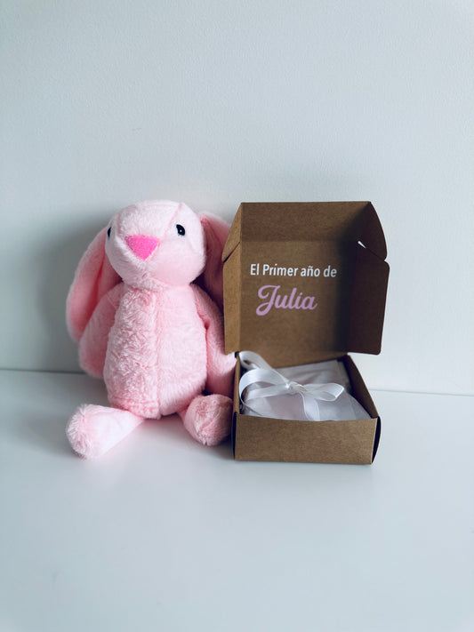 Placas cumple mes – El Primer Año del bebé (Rosa)